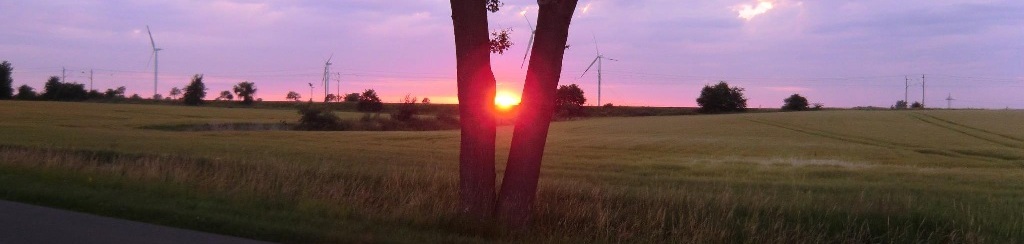Sonnenuntergang Suderburg 30.06.2012